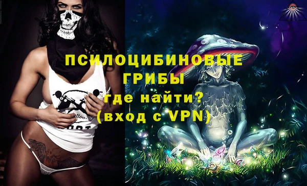 хмурый Рославль