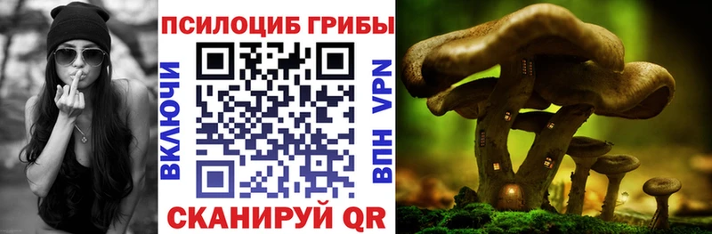 купить наркоту  Приморско-Ахтарск  Псилоцибиновые грибы прущие грибы 